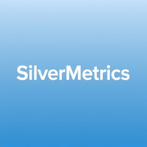 SilverMetrics Logo